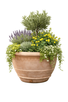 Klassischer Terracottatopf Conca Romana aus Impruneta – frostfest bis –30 °C